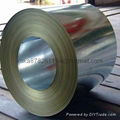 hot rolled steel coil,sheet 