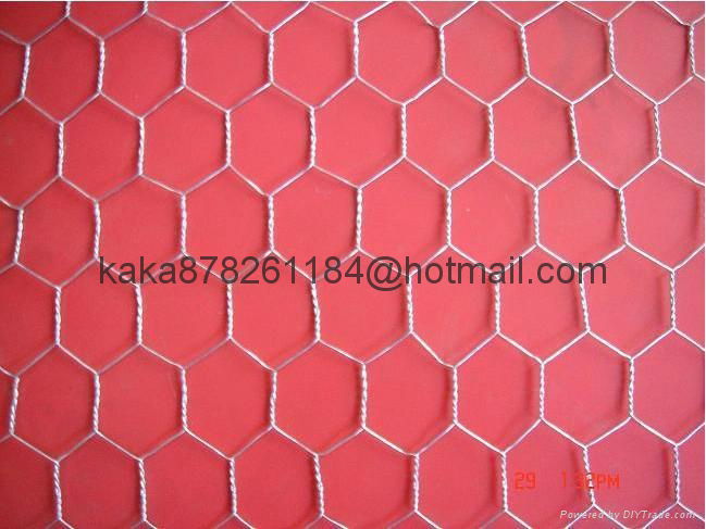 galvanized hexagonal Welded Wire Mesh 4