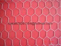 galvanized hexagonal Welded Wire Mesh 4