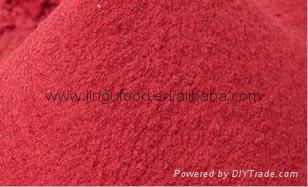 fresh freeze dried strawberry powder