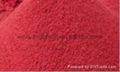 fresh freeze dried strawberry powder