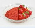 fresh freeze dried strawberry powder