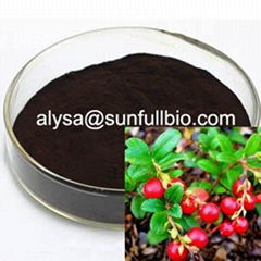 Bilberry Extract