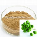 Green Coffee Bean Extract 1