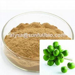 Green Coffee Bean Extract