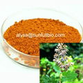 Macleaya Cordata Extract 1