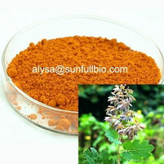 Macleaya Cordata Extract