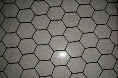 Hexagonal Wire Mesh