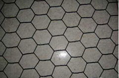 Hexagonal Wire Mesh