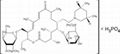 Tilmicosin Phosphate 1