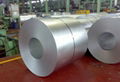 Hot dipped galvanized steel coils 2