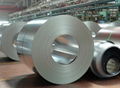 Hot dipped galvanized steel coils 5