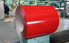 Hot dipped galvanized steel coils