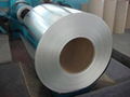 Hot dipped galvanized steel coils