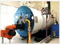 WNS Series Auto Gas or Oil Fired steam