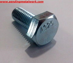 Structural Bolt A325