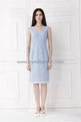 Lace Pleated Fitted Fashion Lady's Dress