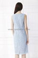 Lace Pleated Fitted Fashion Lady's Dress 3