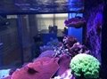 smart control led aquarium light for coral reef growth 4
