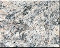 Tiger skin white granite slab&tile 1