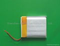 3.7V  DF2671166  2300mAh Li-Polymer Battery 2