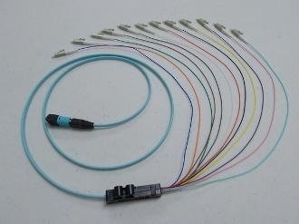 12 or 24-Fiber MPO/MTP to LC Harness Cables OM3 10G 50/125UM