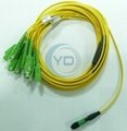 12 or 24-Fiber MPO/MTP to LC Harness Cables OM3 10G 50/125UM 2