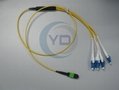 12 or 24-Fiber MPO/MTP to LC Harness Cables OM3 10G 50/125UM 3