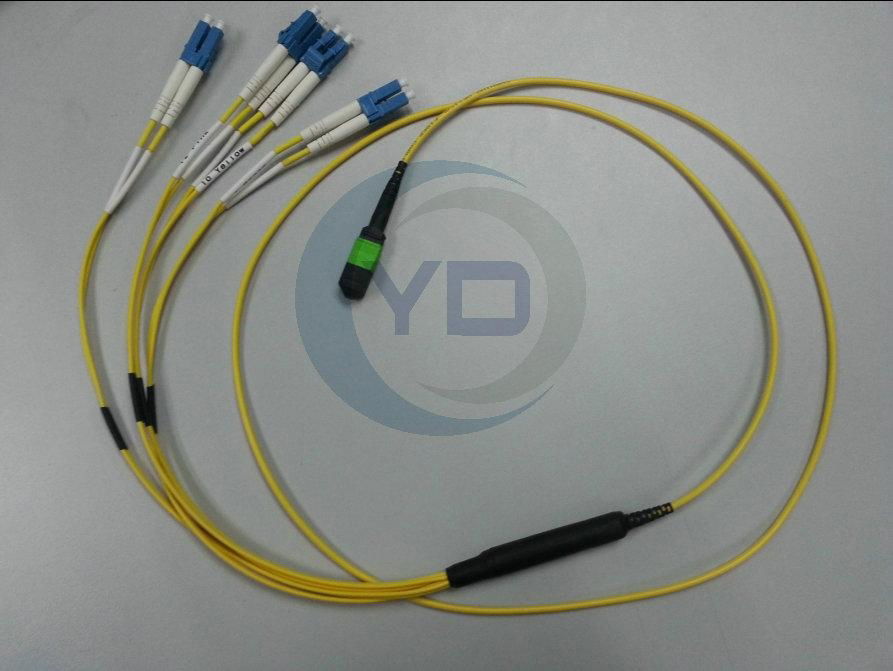 12 or 24-Fiber MPO/MTP to LC Harness Cables OM3 10G 50/125UM 4