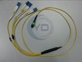 12 or 24-Fiber MPO/MTP to LC Harness Cables OM3 10G 50/125UM 4
