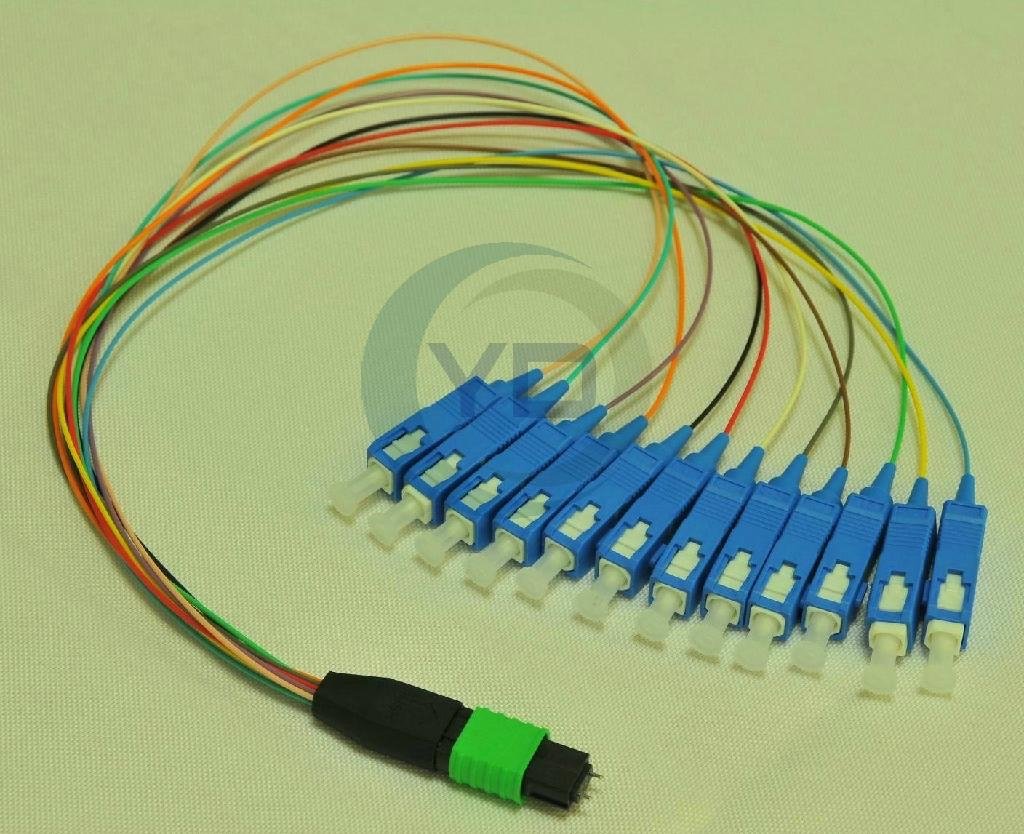 12 or 24-Fiber MPO/MTP to LC Harness Cables OM3 10G 50/125UM 5