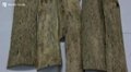 High quality Vietnam Agar wood chips Grade A - ACPA 1mm 3