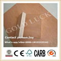 commercial plywood 2