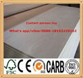 commercial plywood 3