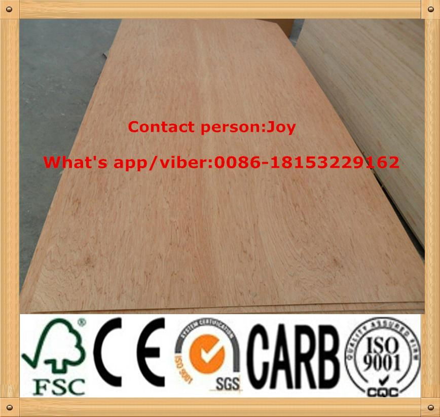 commercial plywood 5