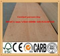 commercial plywood 5