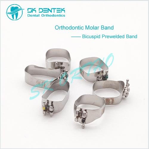Dental Orthodontic Molar Band 4