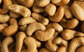 Vietnamese Cashew nuts 1