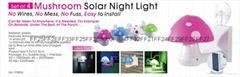 Solar night light set of 4