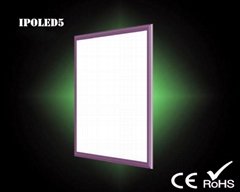 LED Panel Light 300*300 12W 