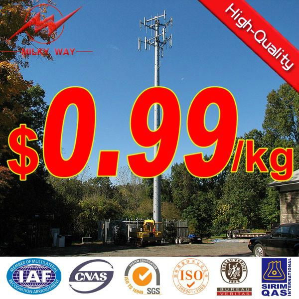 30m transmission tower 5