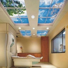 32W LED Skylights with Novelty Design