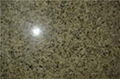 stone paving tile 1