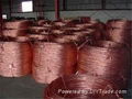 SGS Approved Millberry Copper Scrap Wire