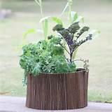 willow planter