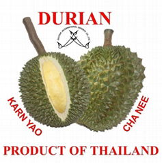 Fresh Durian