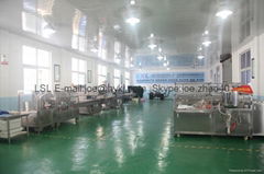 Tianshui Huayuan Pharmaceutical Technology Equipment Co.,Ltd