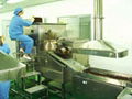 Automatic herbs or ayuvedic pills making machine 2