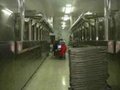 Tunnel microwave drying and sterilizing machine 2