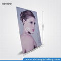 CMYK printing customized design for promotion roll up standees 3